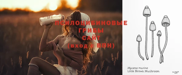 mix Белокуриха