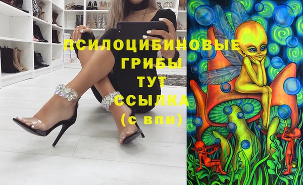 mix Белокуриха