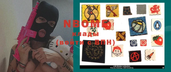 шишки Снежногорск
